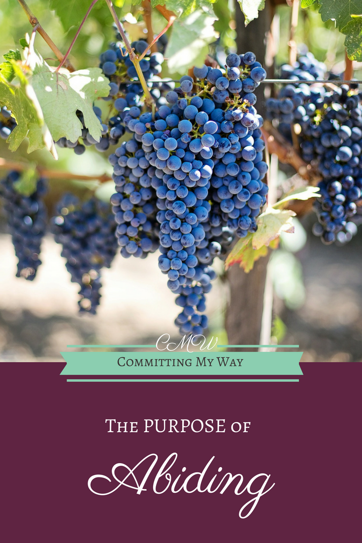 The Purpose of Abiding - Committing My Way Abiding in Christ