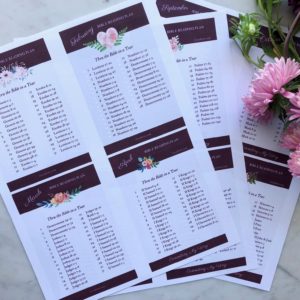 Through the Bible in a Year Reading Plan Printable PDF